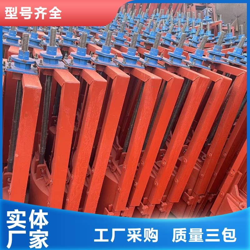 渠道閘門-墻式鑲銅鑄鐵閘門一站式解決方案