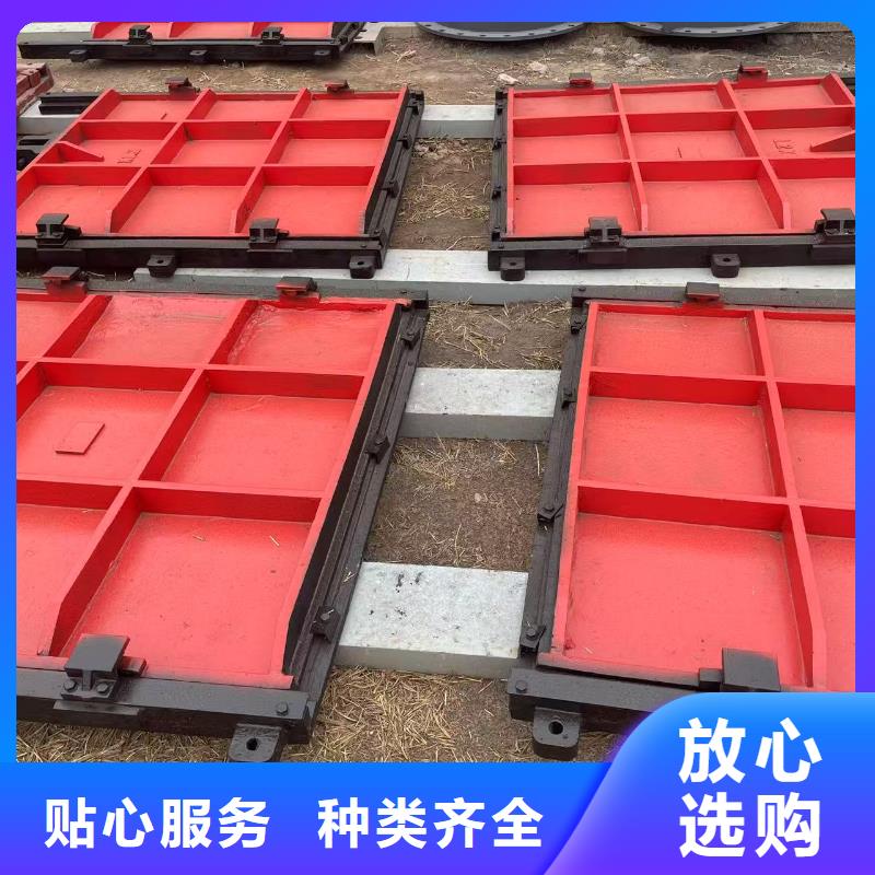 铸铁镶铜闸门-河灌区闸门直供价优