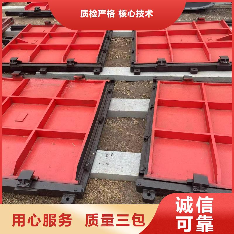 鑄鐵鑲銅閘門-農(nóng)田灌溉閘門直供價優(yōu)