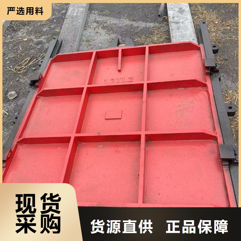 鑄鐵閘門-啟閉機高壓鑄鐵閘門經(jīng)久耐用