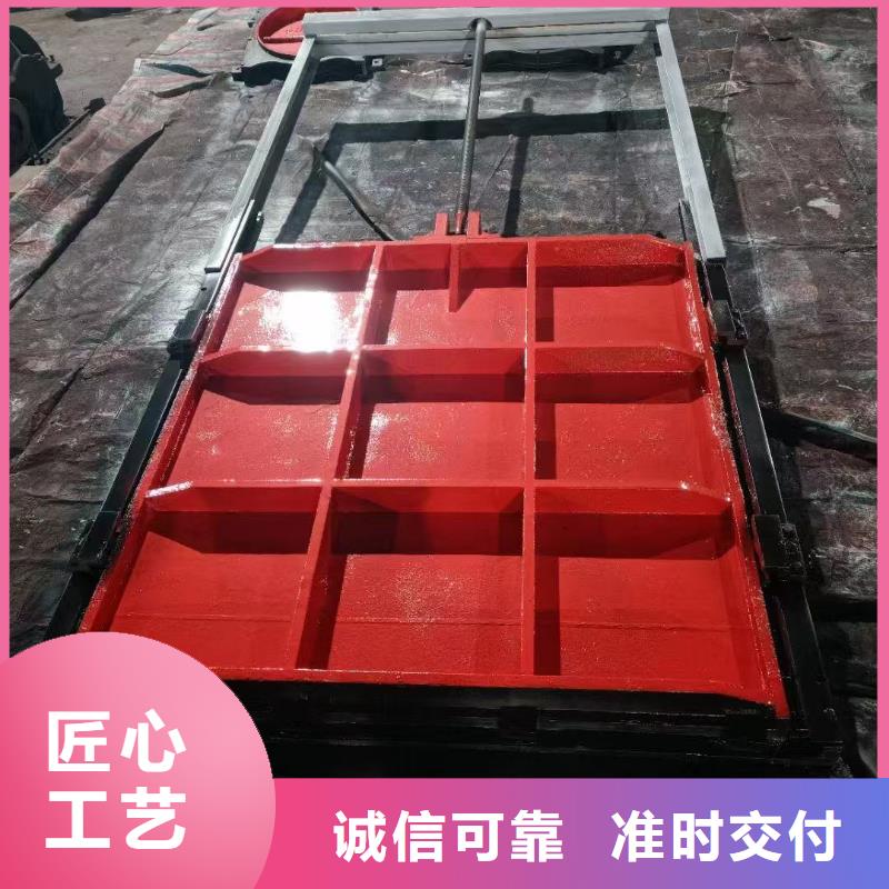 雙向轉(zhuǎn)動閘門來廠實地考察