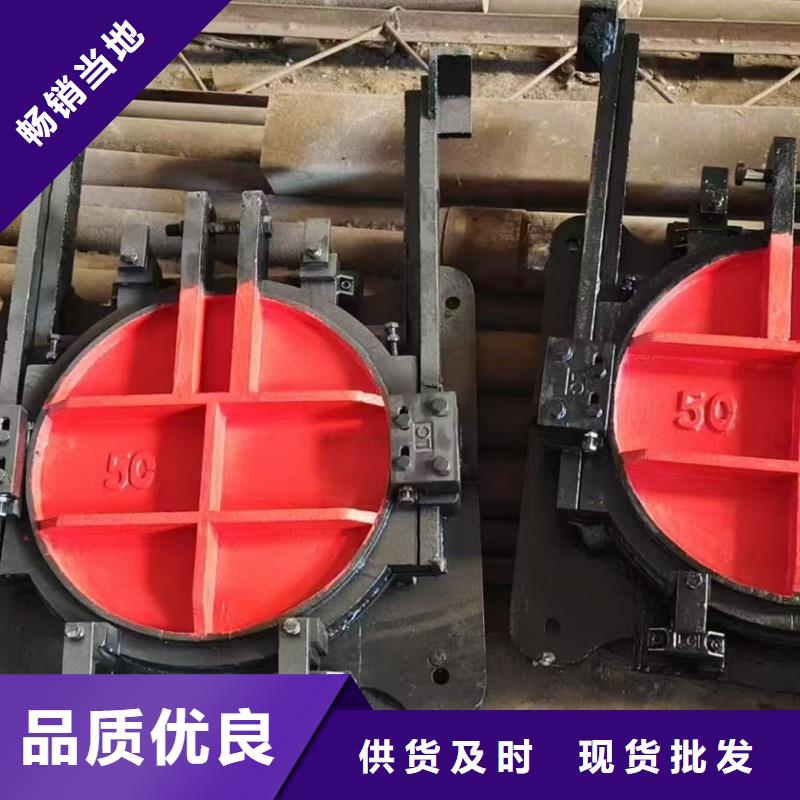 双向止水闸门_稻田水渠闸门-供应商价格