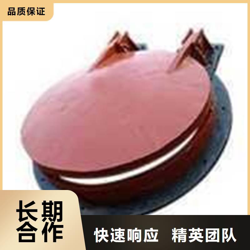 安新縣鋼制拍門制造生產(chǎn)商