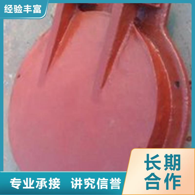 #不銹鋼閘門(mén)拍門(mén)#現(xiàn)貨供應(yīng)