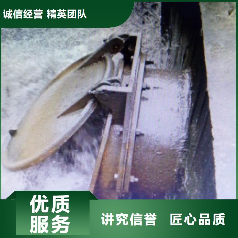 拍门方形节能型自由侧翻式拍门注重细节