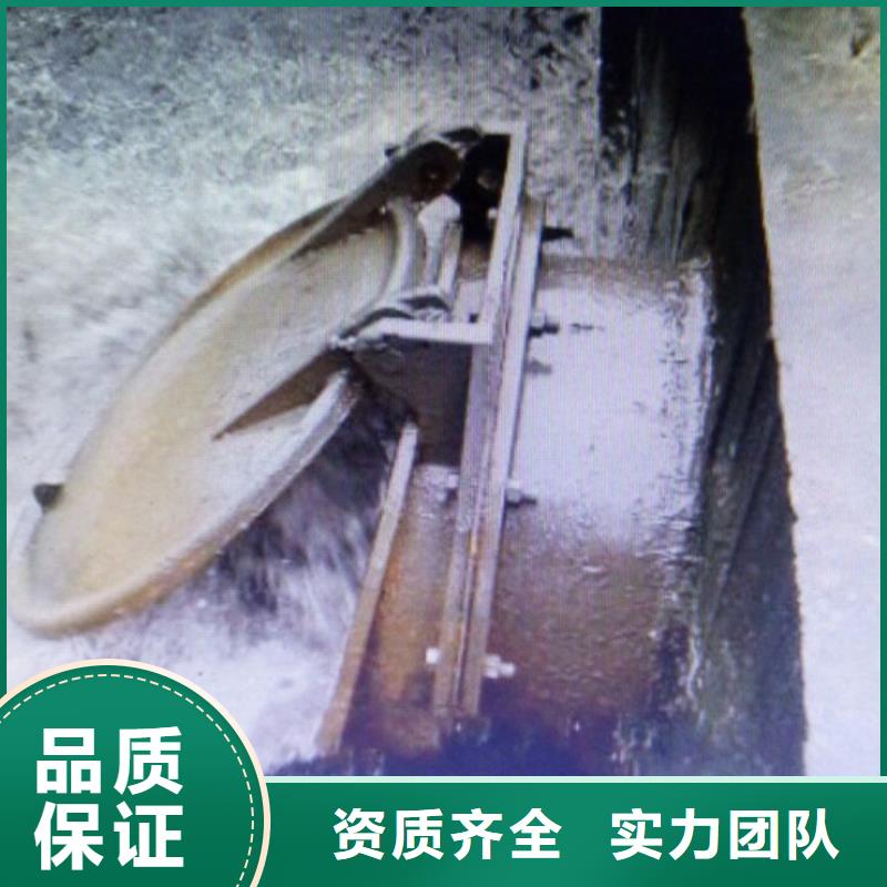 北戴河區(qū)浮箱拍門廠家銷售價格