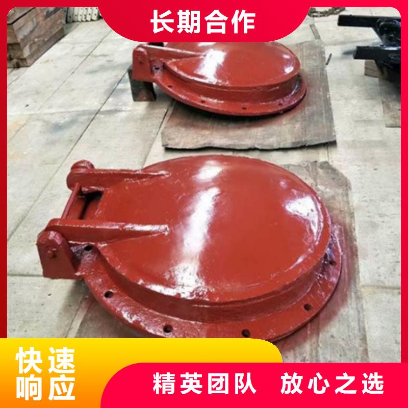 重信譽(yù)600直徑拍門廠家價格