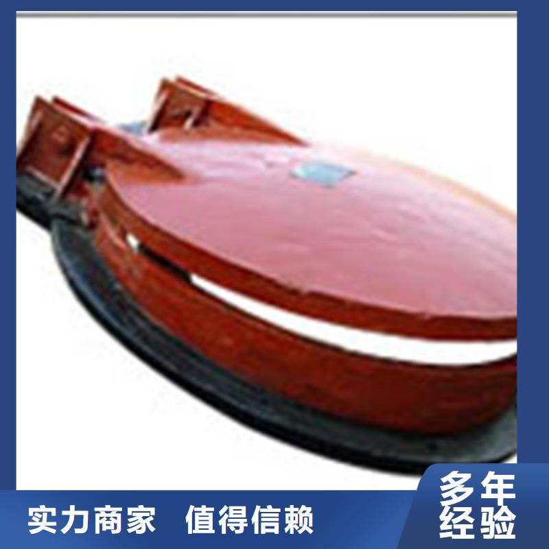 重信譽(yù)600直徑拍門廠家價格
