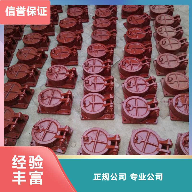 節(jié)能型側(cè)開式拍門專業(yè)定制