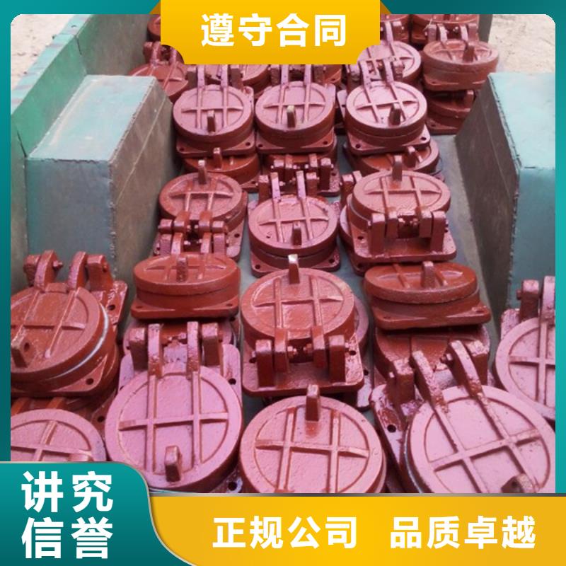 節(jié)能型側(cè)開式拍門專業(yè)定制