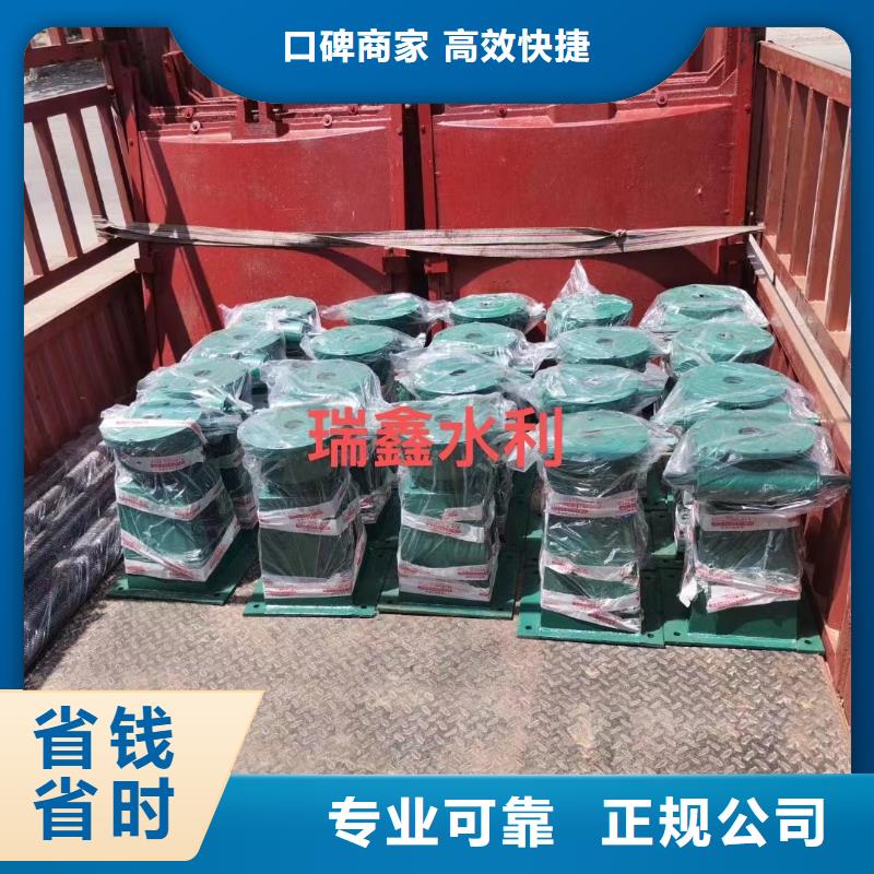 手電兩用螺桿啟閉機(jī)2t-快來購買吧