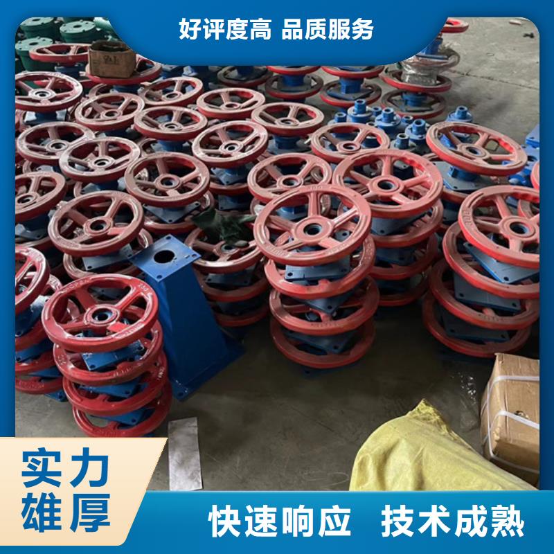 啟閉機閘門啟閉機螺桿滿足不同水利工程需求