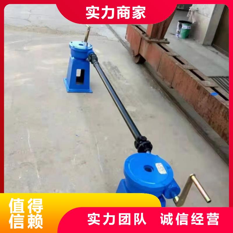 启闭机闸门带遥控螺杆式启闭机售后无忧
