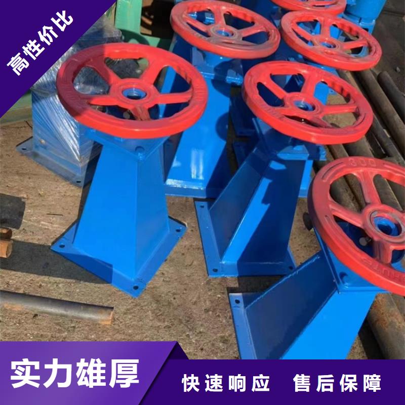 卷揚啟閉機手電兩用螺桿式啟閉機耐用可靠