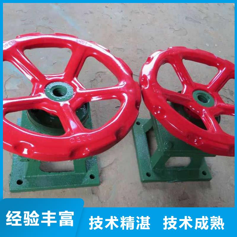 啟閉機(jī)手電兩用螺桿啟閉機(jī)生產(chǎn)基地