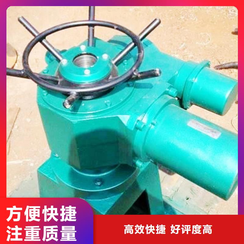 启闭机闸门带遥控螺杆式启闭机生产基地