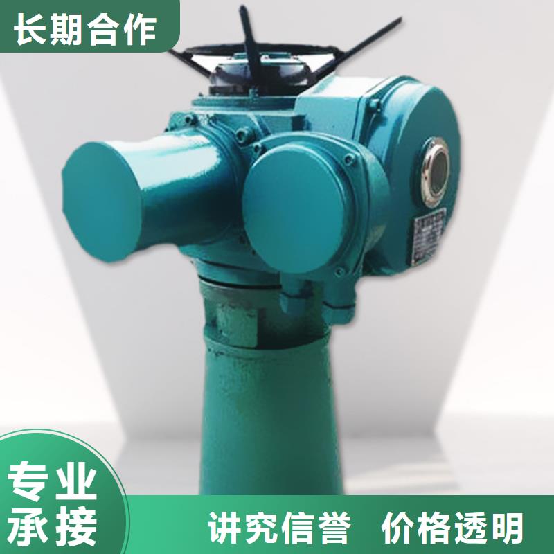 供应直联式启闭机8T_精选厂家