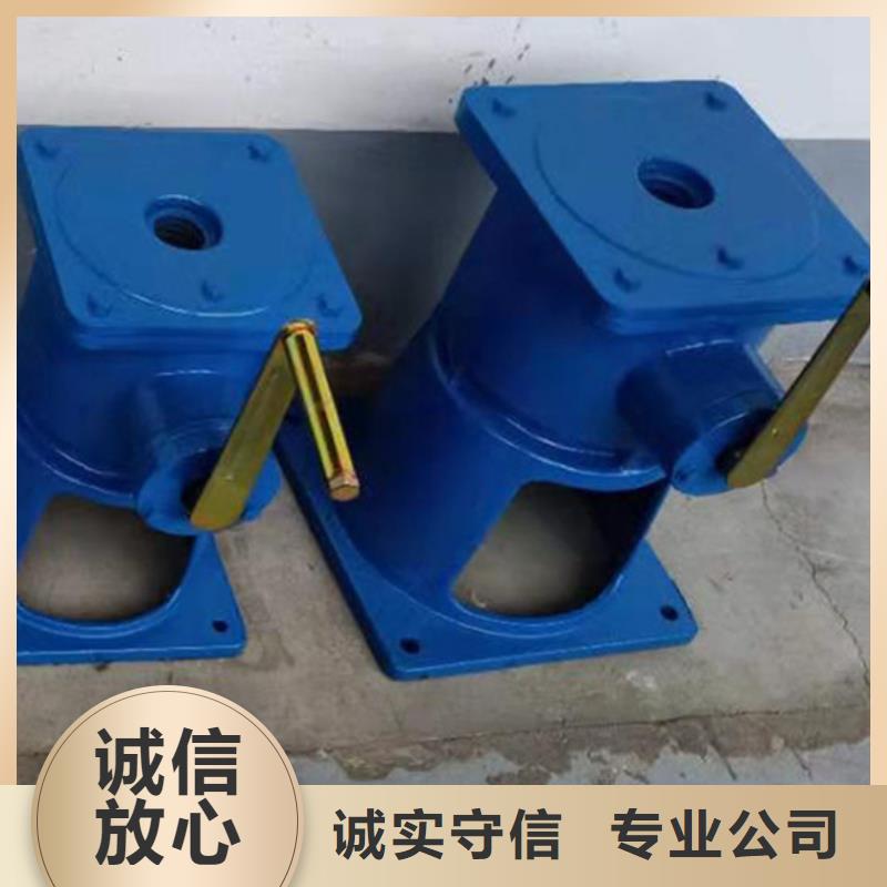 了解直連螺桿式啟閉機(jī)-按需求定制