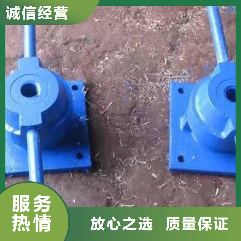 啟閉機(jī)閘門帶遙控螺桿式啟閉機(jī)耐用可靠
