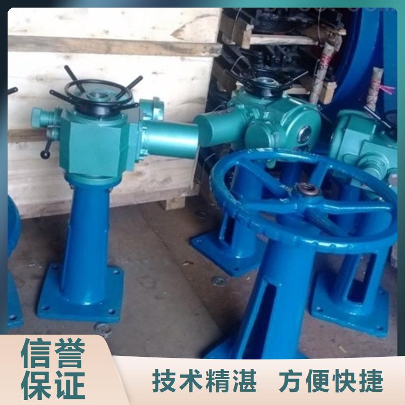 了解直連螺桿式啟閉機(jī)-按需求定制