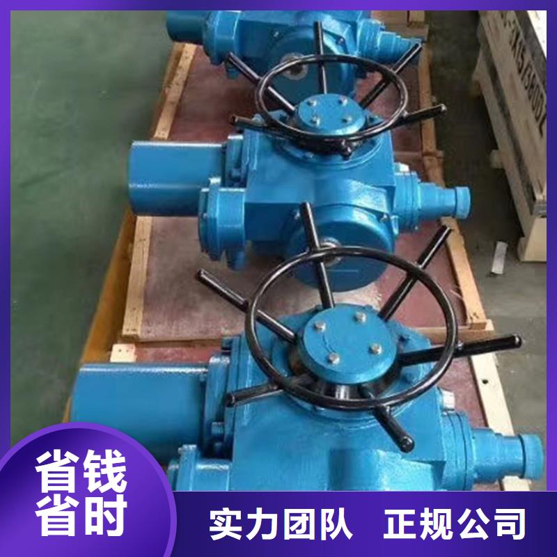 启闭机大品牌品质优