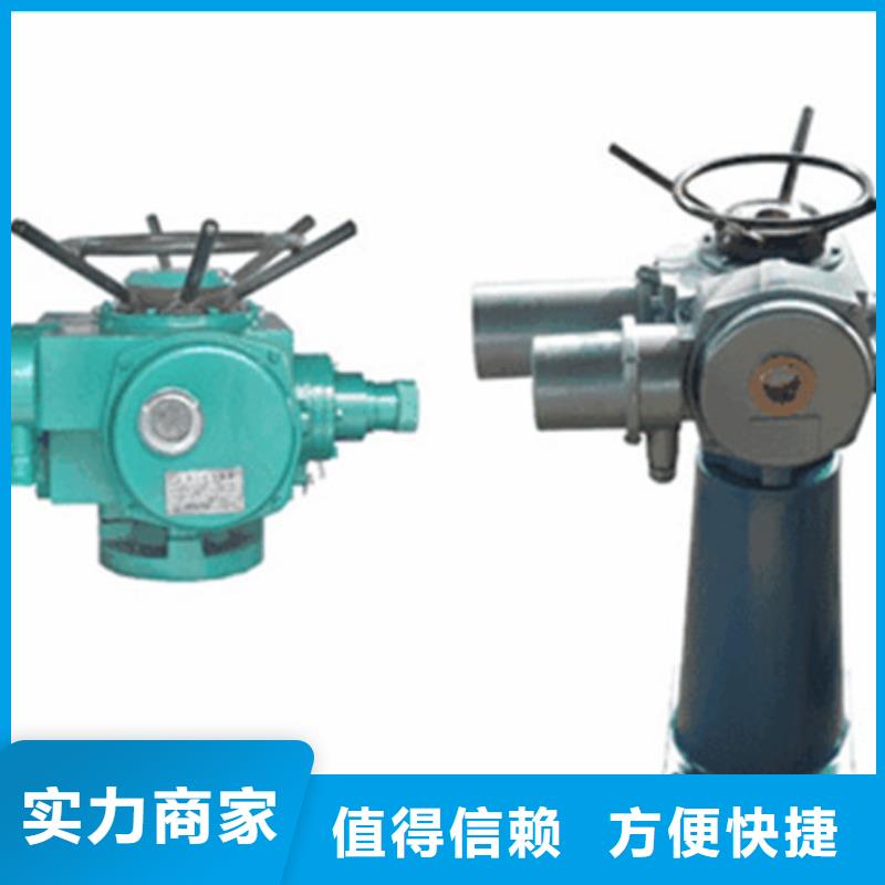 启闭机闸门水利闸门启闭机免费安装调试，终身维护！
