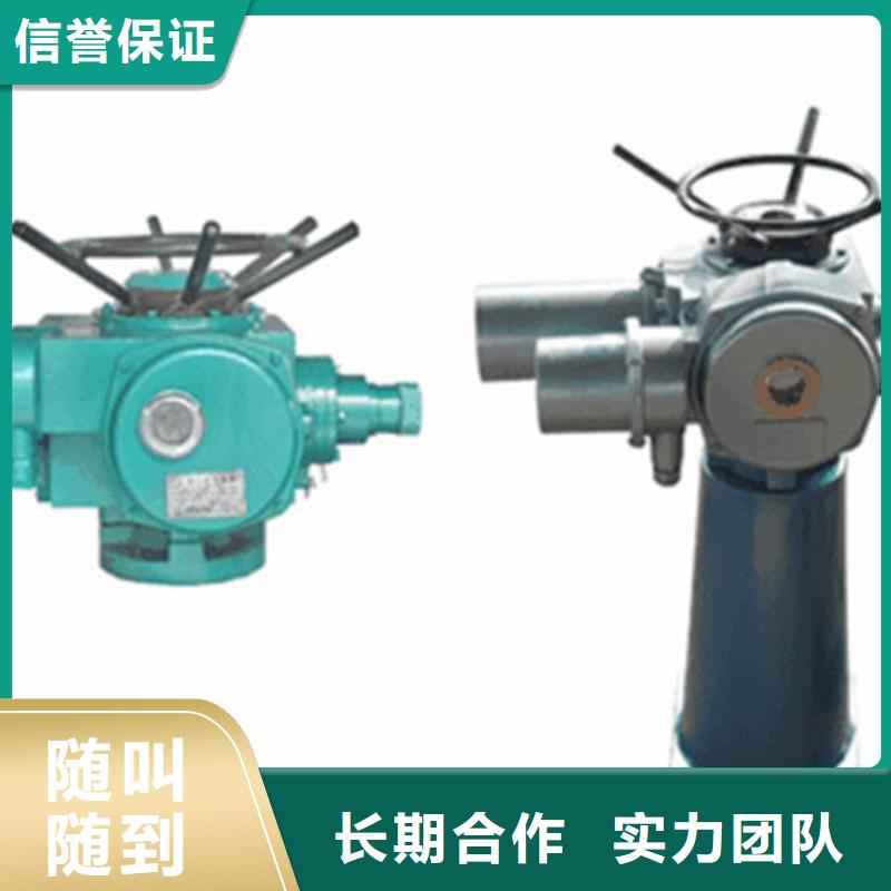 啟閉機(jī)電動(dòng)螺桿式啟閉機(jī)24小時(shí)售后服務(wù)