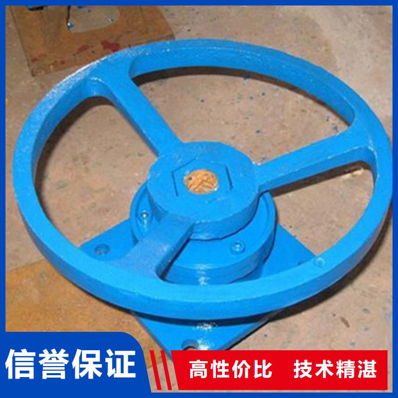 啟閉機(jī)閘門QL-SD型手電兩用啟閉機(jī)自動化控制,省時省力
