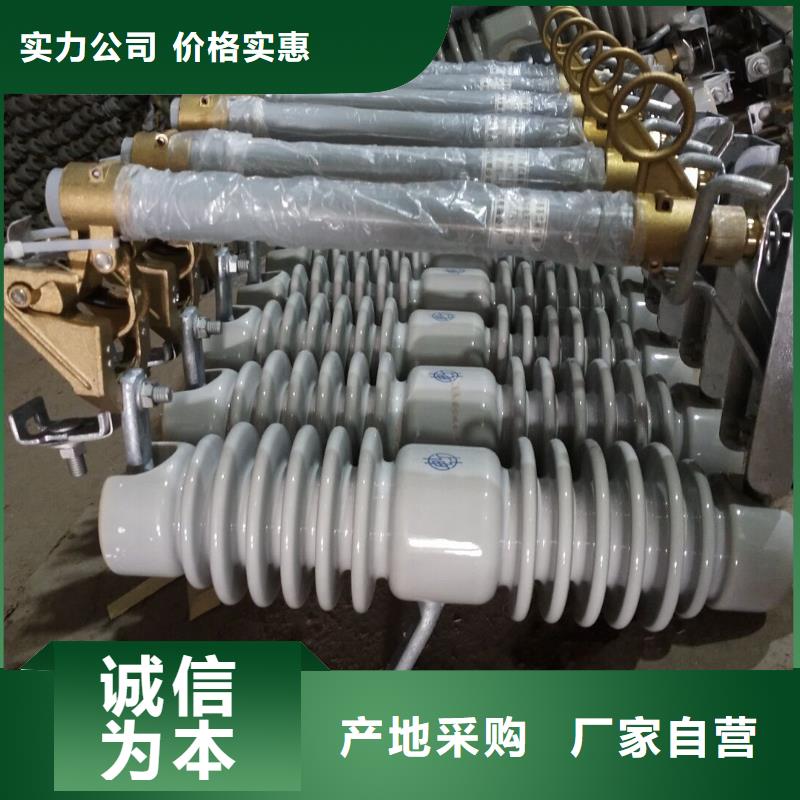 熔断器避雷器精工打造