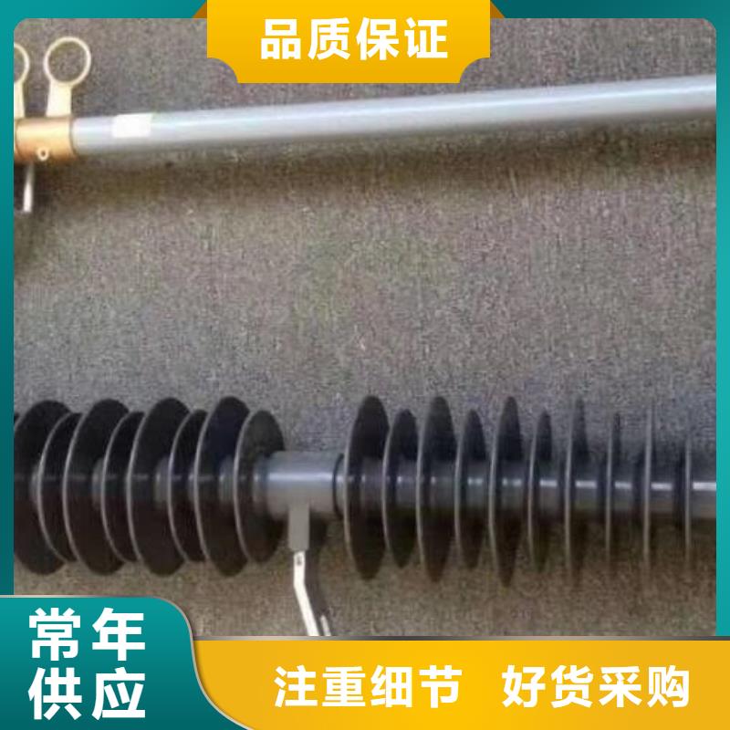 熔斷器 戶外絕緣件就近發(fā)貨