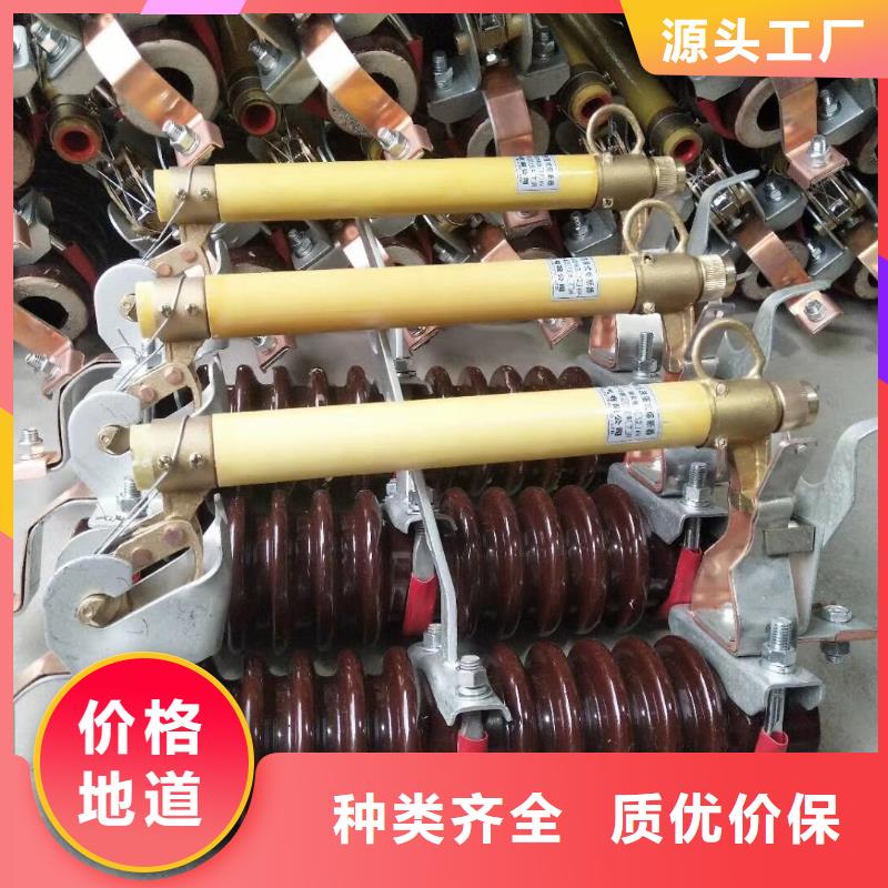 《跌落式熔断器》RW12-15F/100A
