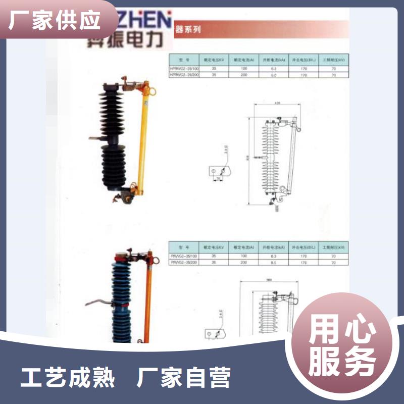 熔断器,真空断路器专业生产制造厂