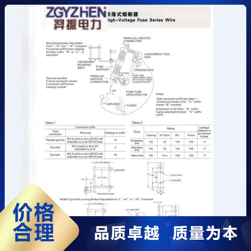 高压熔断器/HPRW12-24/100