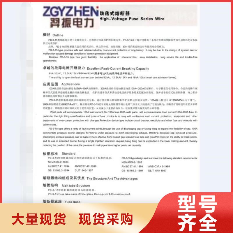 熔断器避雷器精工打造