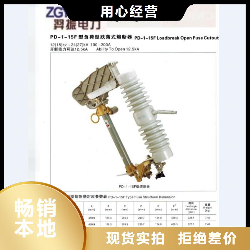 【跌落式熔断器】RW-10/200-12.5