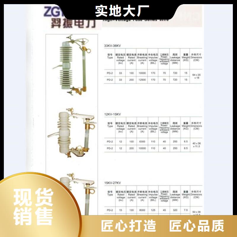 熔断器 CW2智能型式断路器厂家供应