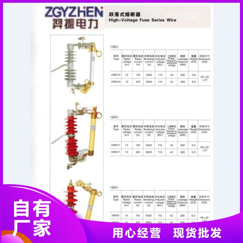 熔斷器-【避雷器】直銷廠家