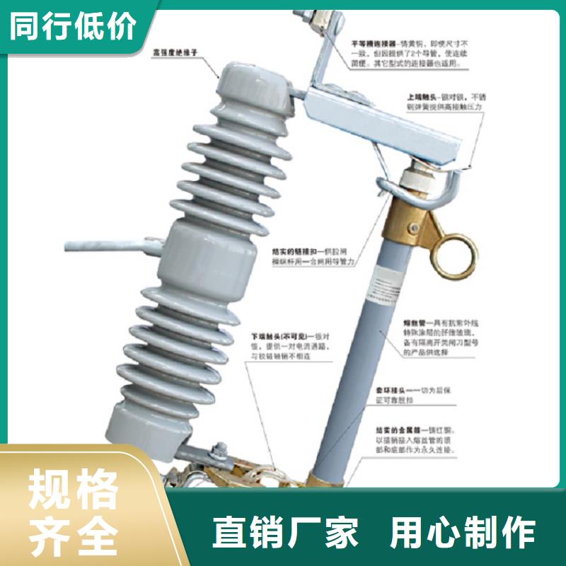 熔斷器金屬氧化物避雷器規(guī)格齊全實(shí)力廠家