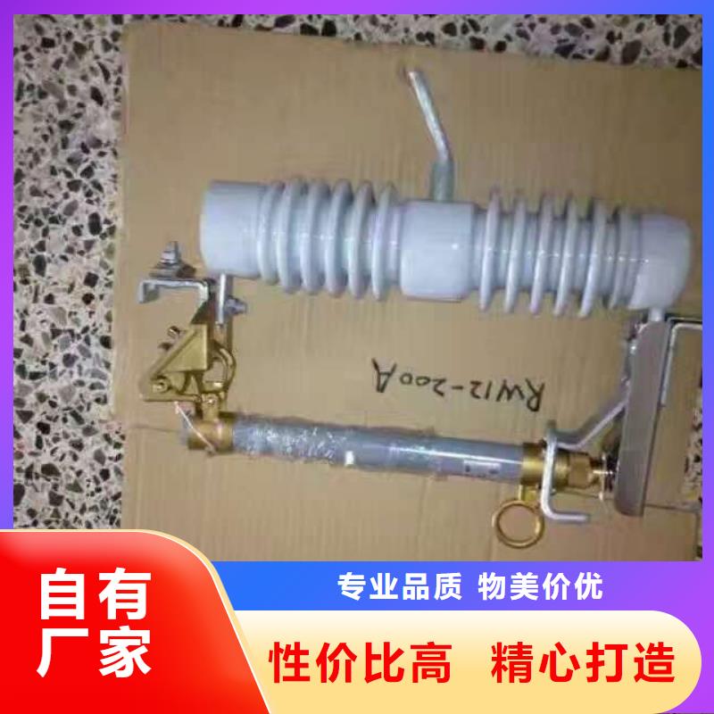 熔断器高压真空断路器好产品价格低