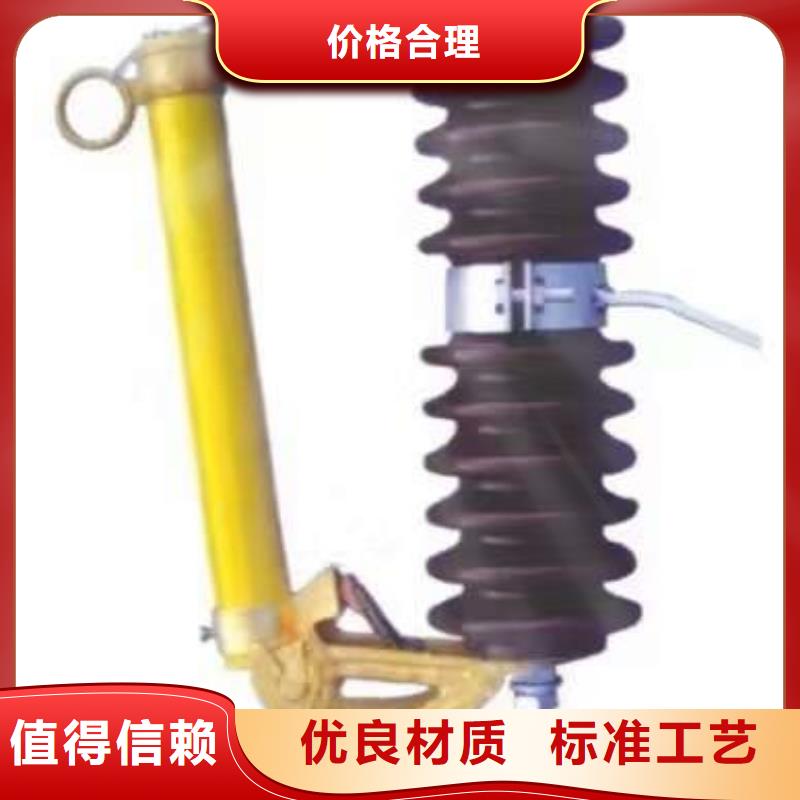 熔断器 高压隔离开关敢与同行比价格