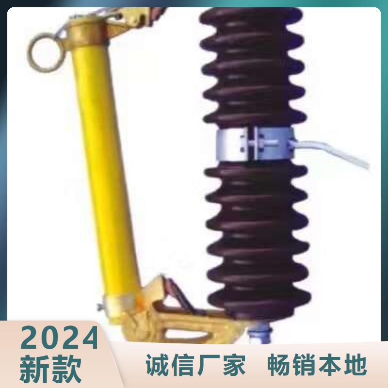 熔断器高压真空断路器好产品价格低
