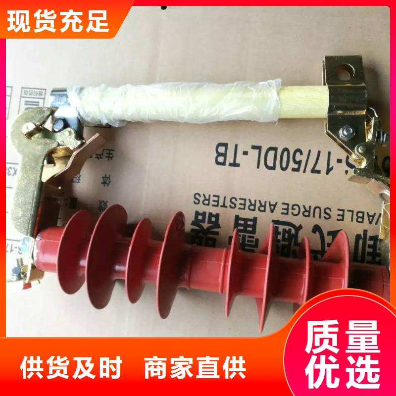《跌落式熔断器》RW12-15F/100A