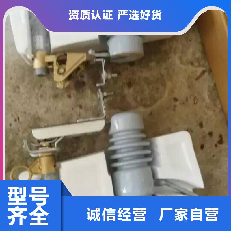 熔断器高压真空断路器保质保量