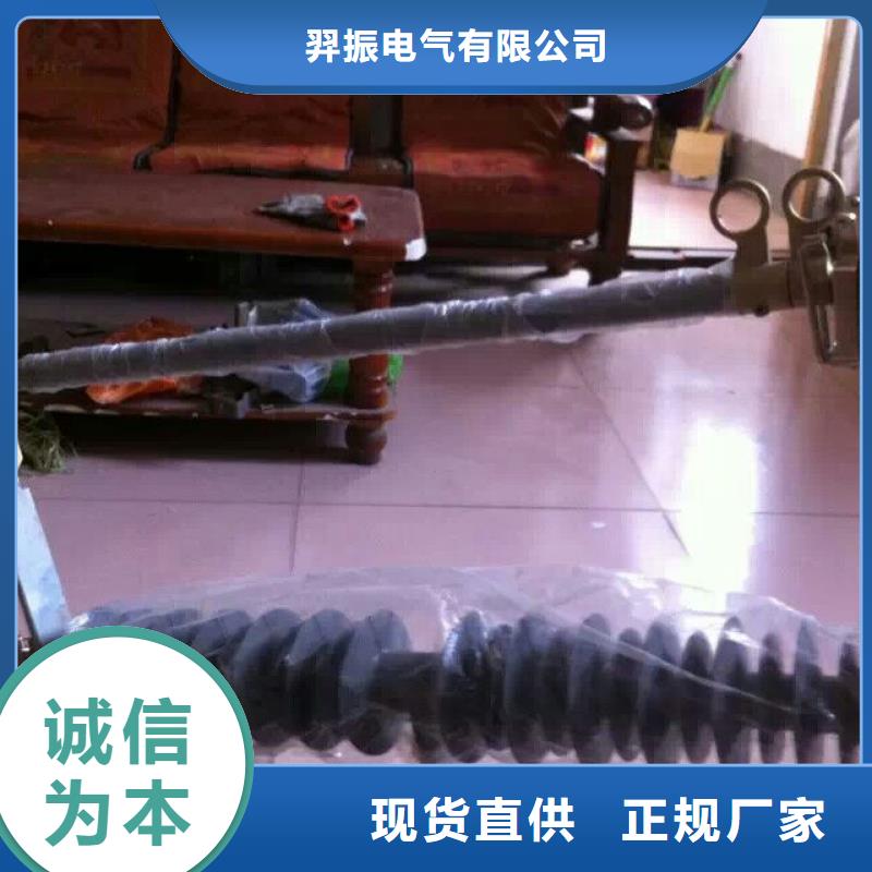 熔断器 CW2智能型式断路器厂家供应