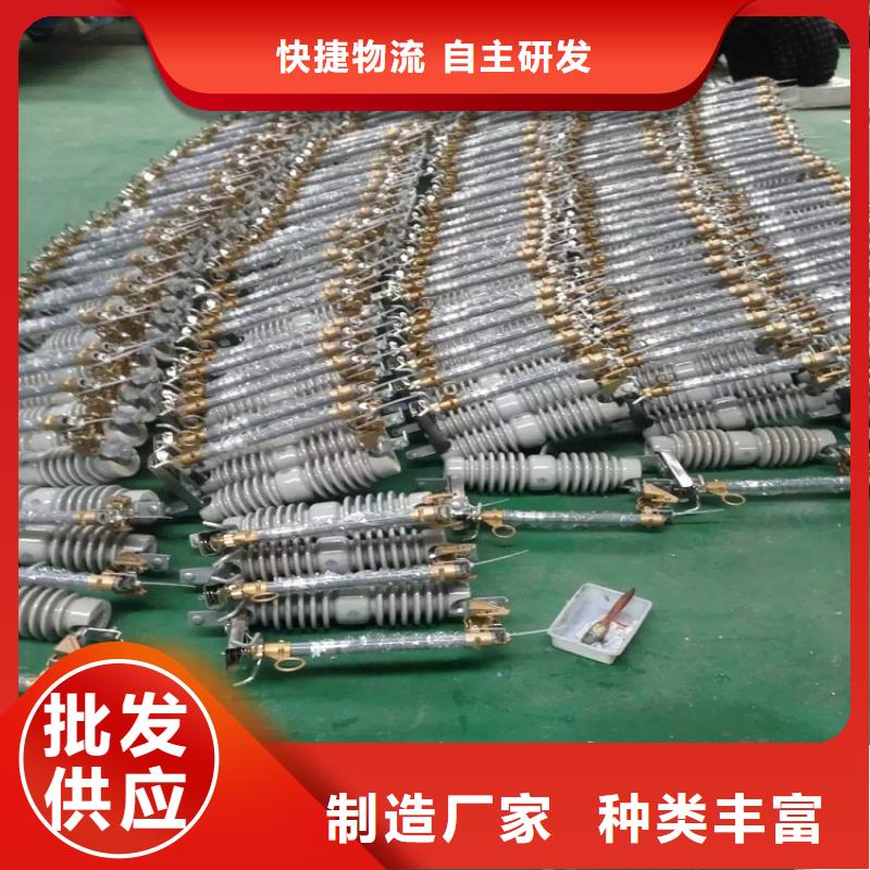 熔斷器復合懸式絕緣子值得信賴