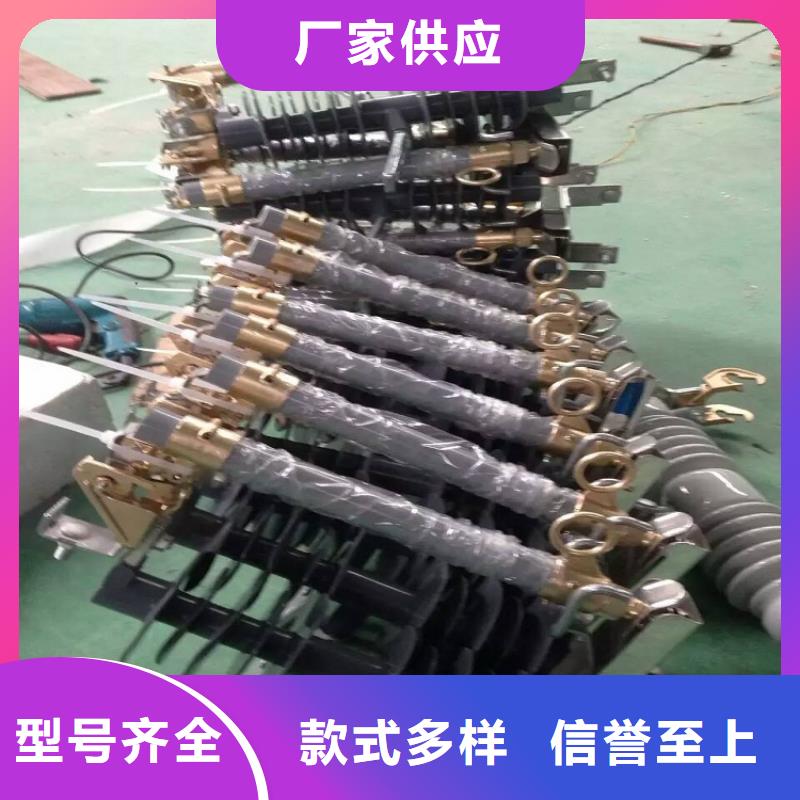熔斷器復(fù)合懸式絕緣子值得信賴(lài)