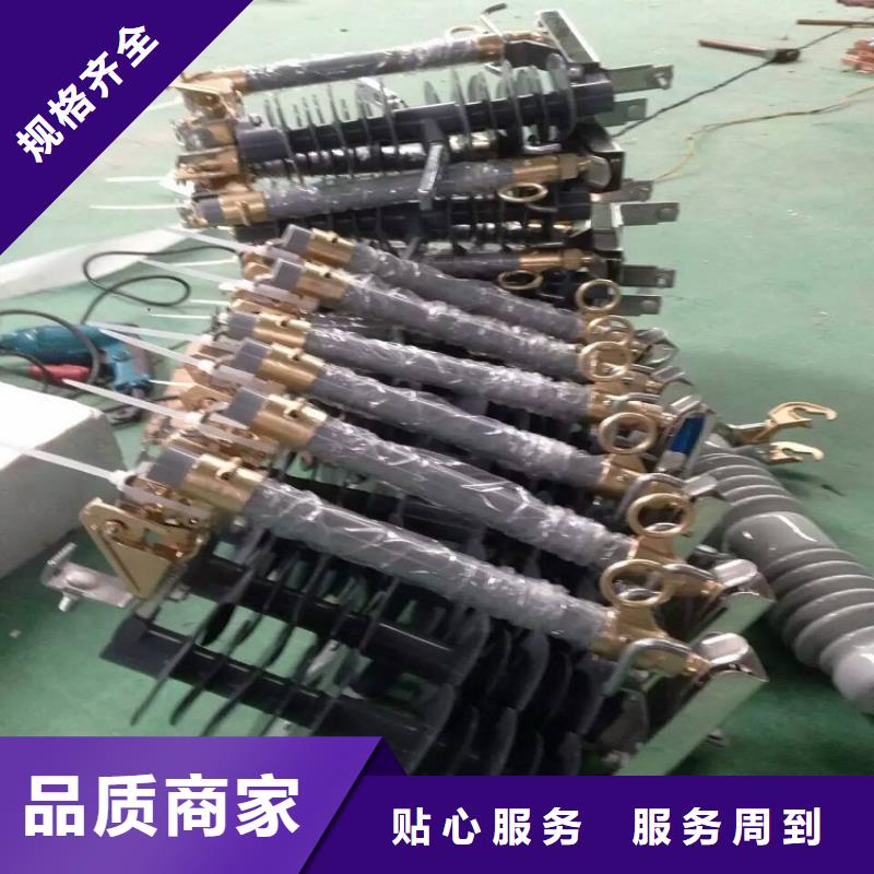 熔斷器雙電源真空斷路器源廠定制