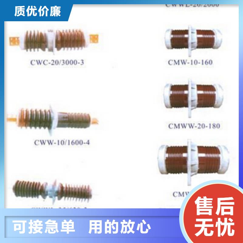 FZW28-12/630-20