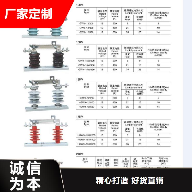 高壓隔離開(kāi)關(guān)【避雷器】廠家直營(yíng)