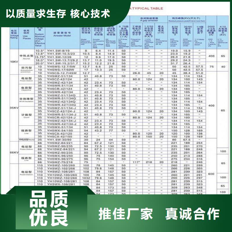 氧化锌避雷器YH10WX-102/260TD.
